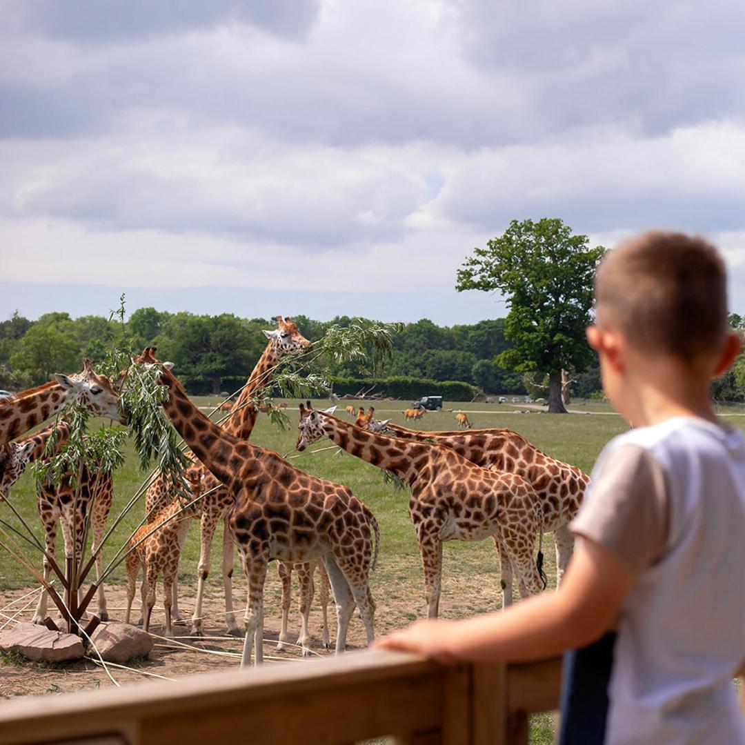 Knuthenborg Safaripark Hotel Maribo Exterior foto