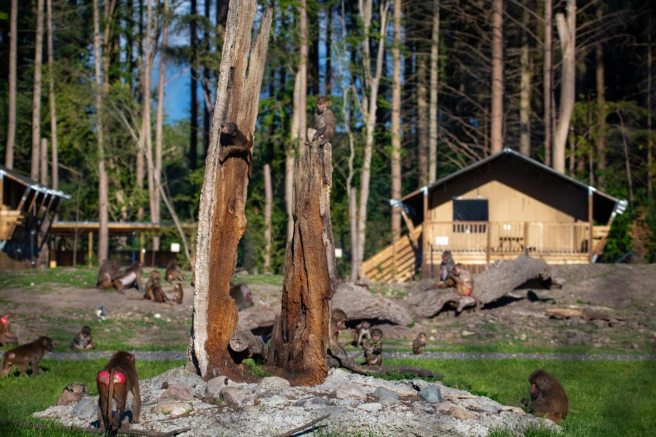 Knuthenborg Safaripark Hotel Maribo Exterior foto