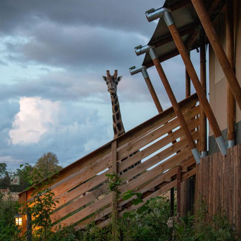 Knuthenborg Safaripark Hotel Maribo Exterior foto